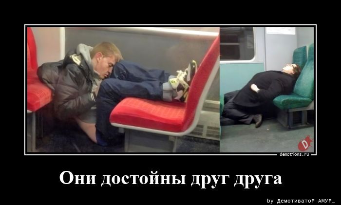 Они достойны друг друга