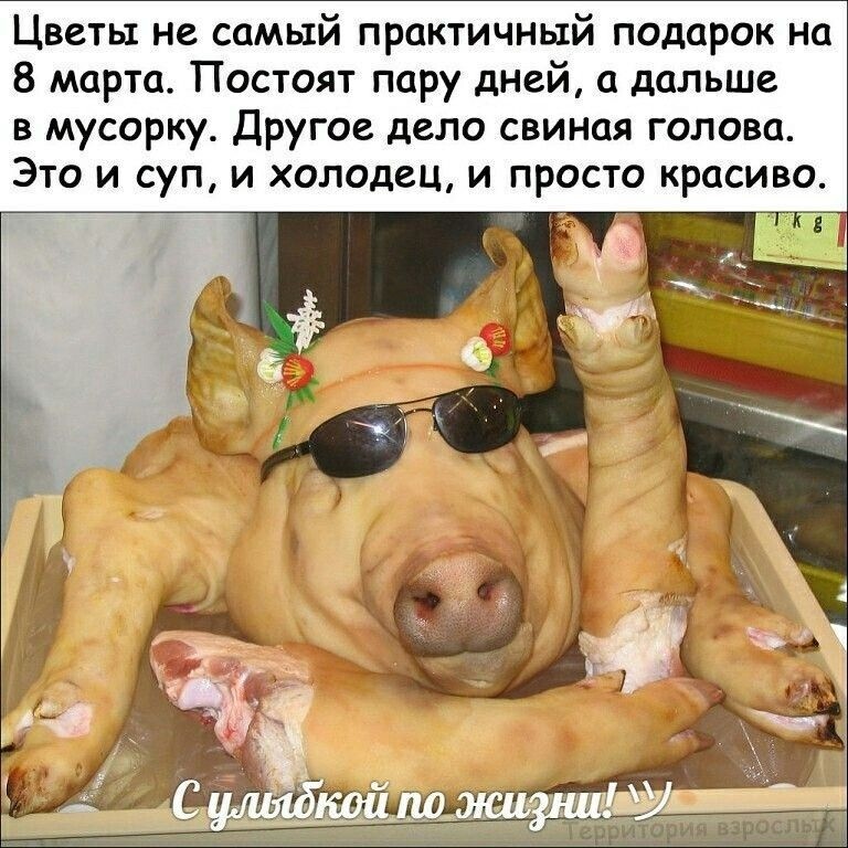 Не  только о политике