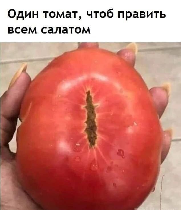11. Всевидящий Помидор