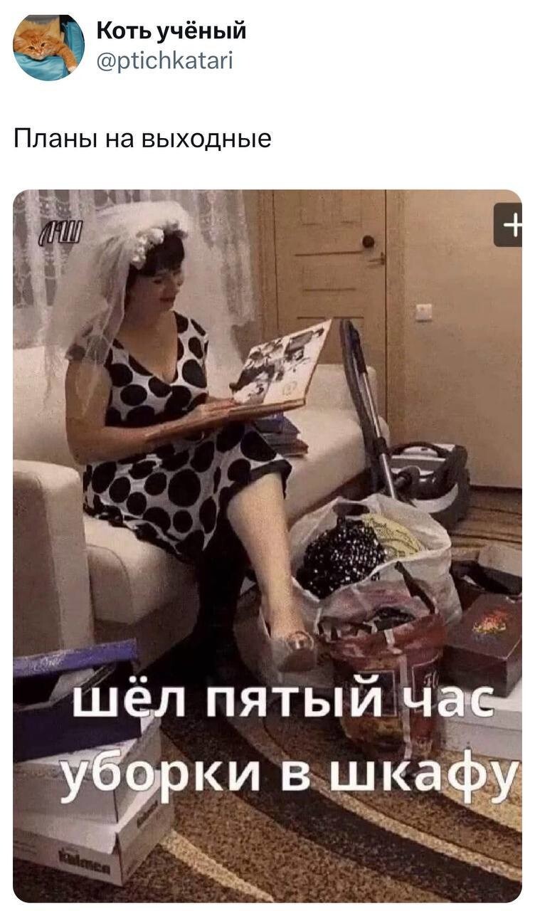 Смешные картинки