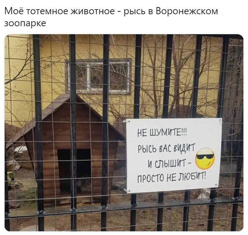 Смешные картинки
