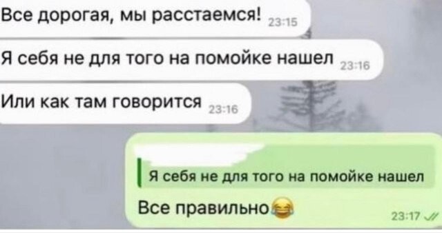 Скрины из соцсетей            