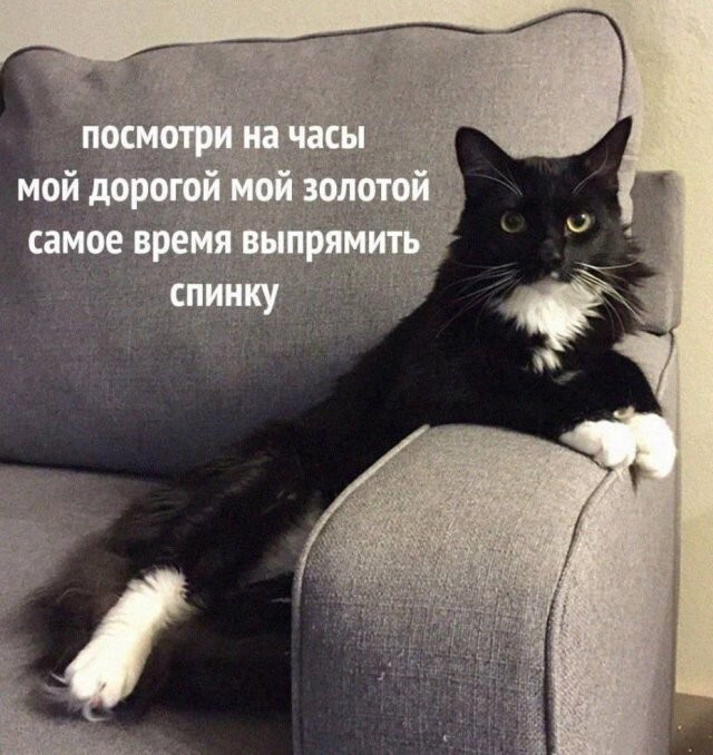 Скрины из соцсетей            