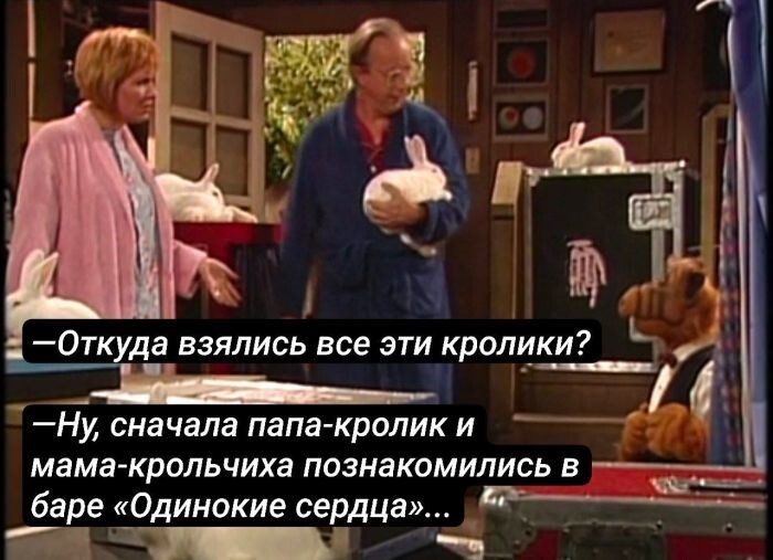 Не ищите здесь смысл. Здесь в основном маразм