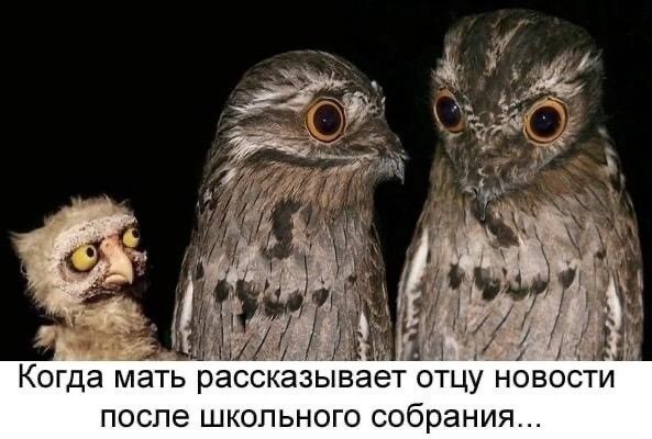 Не ищите здесь смысл. Здесь в основном маразм
