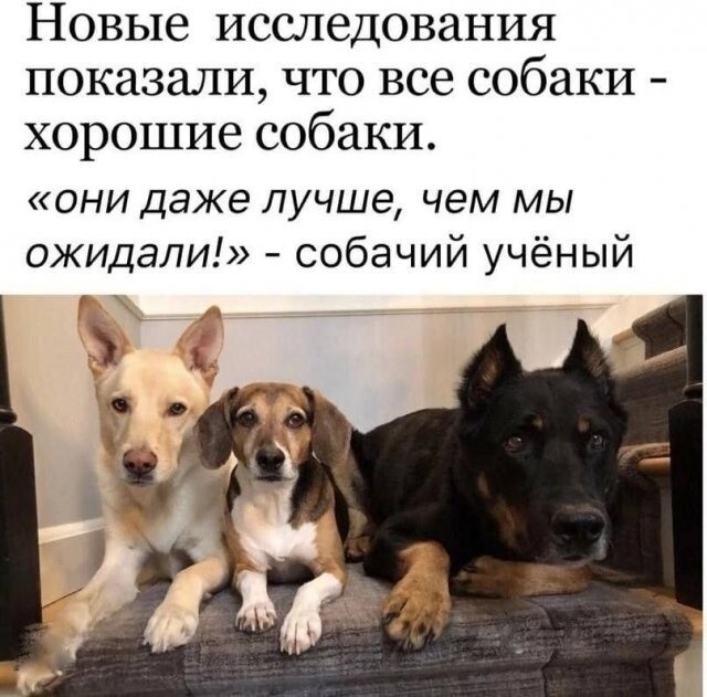 Продолжаем барражировать соцсети