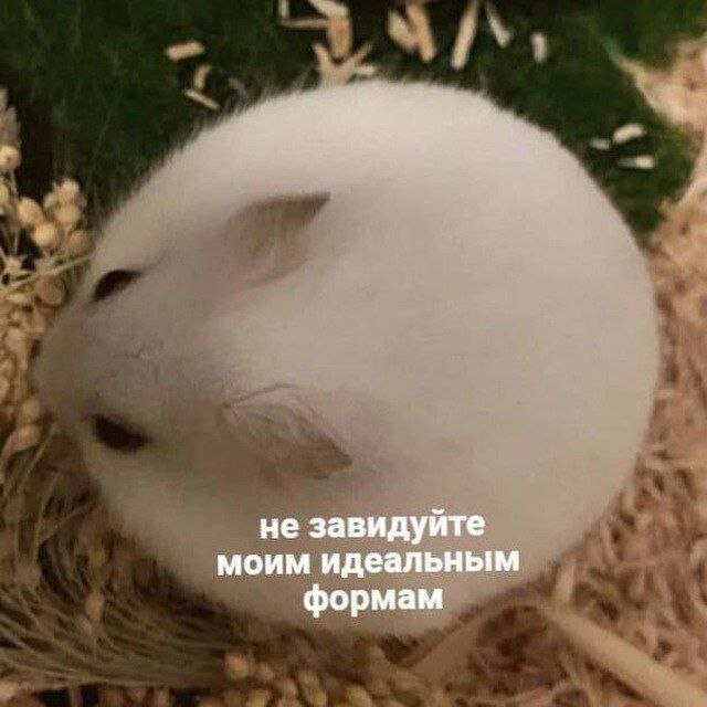 Скрины из соцсетей            