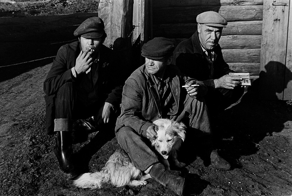 Колхозники, Татарская АССР, с. Поисево, 1984 год.