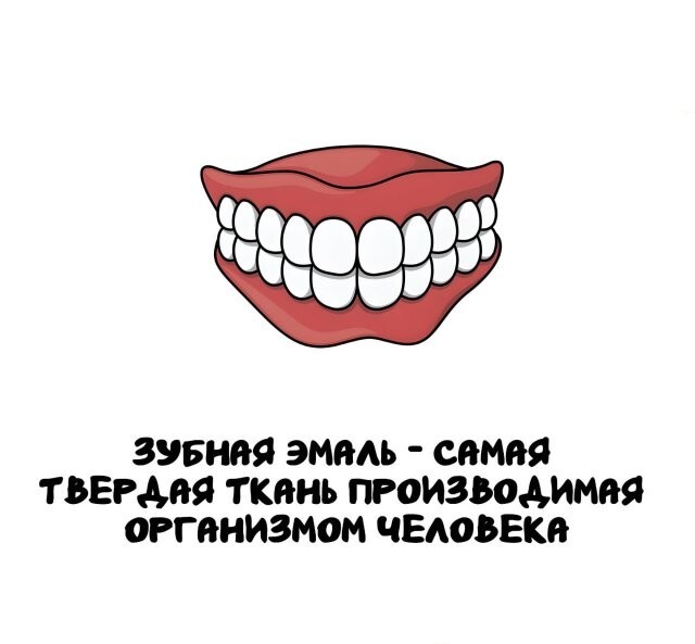 А вдруг ты не знал…