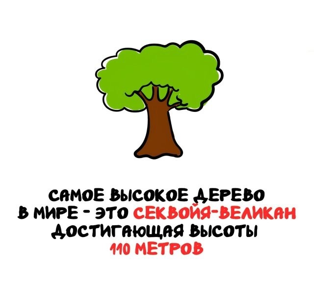 А вдруг ты не знал…
