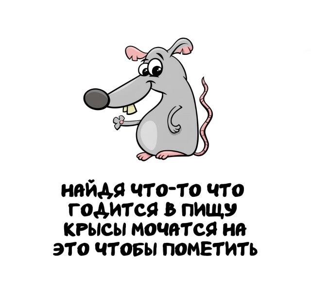 А вдруг ты не знал…