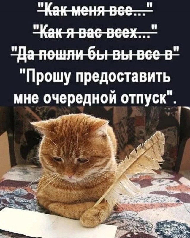 Не ищите здесь смысл. Здесь в основном маразм