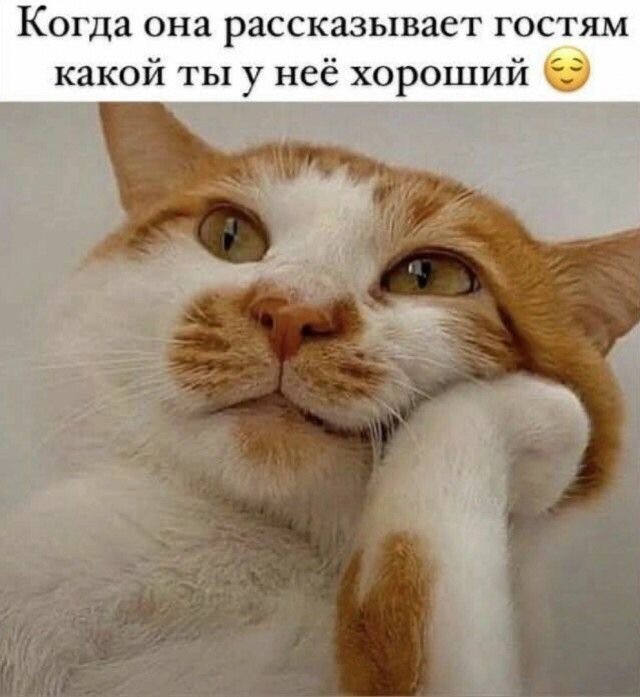 Не ищите здесь смысл. Здесь в основном маразм