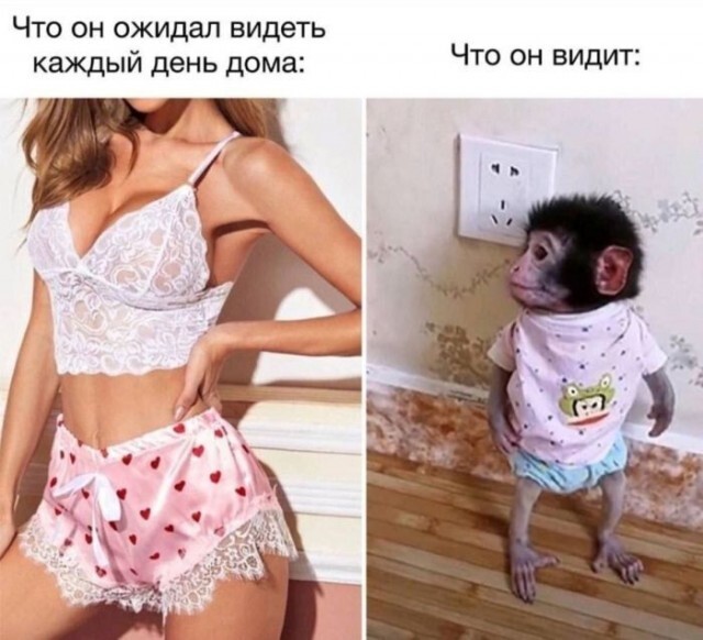 Не ищите здесь смысл. Здесь в основном маразм