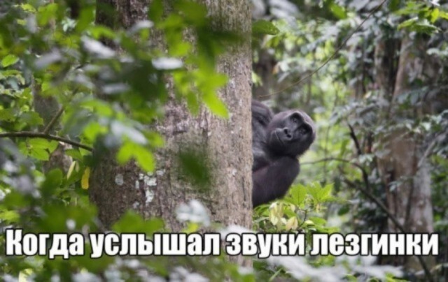 Не ищите здесь смысл. Здесь в основном маразм