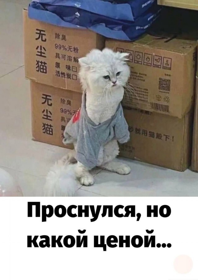 Не ищите здесь смысл. Здесь в основном маразм