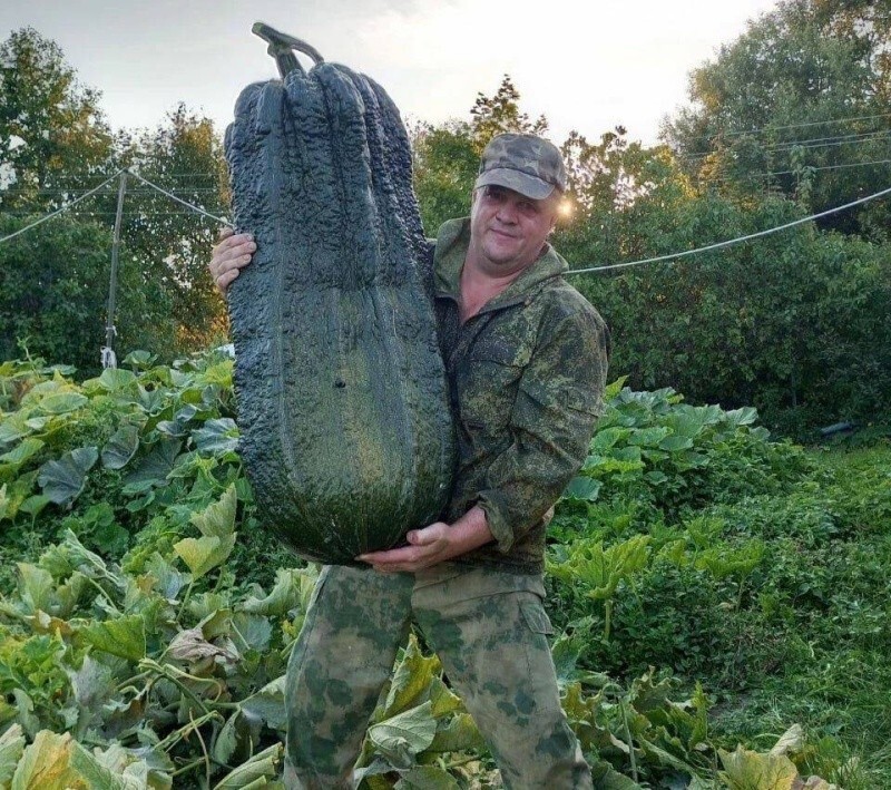 Всё вразнобой 