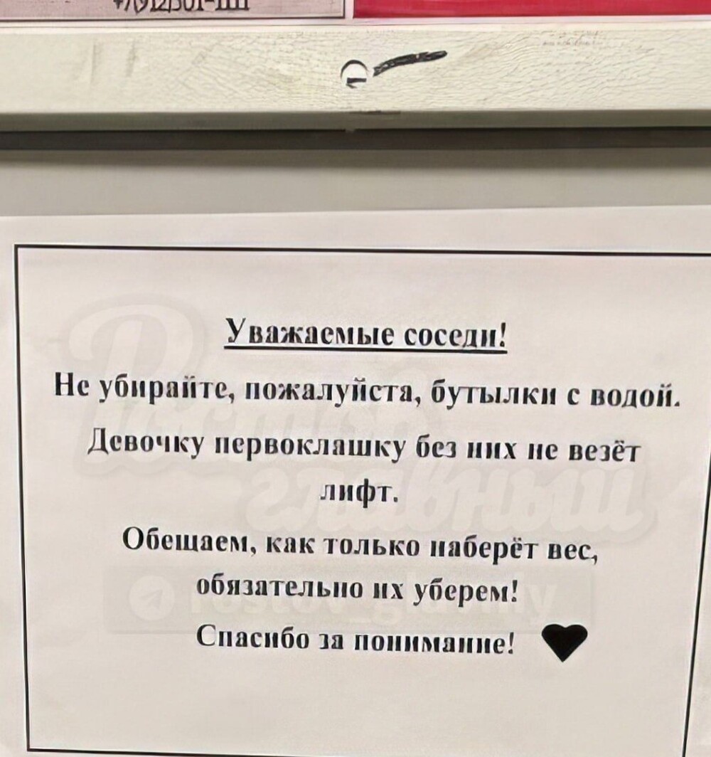 Родители школьницы обратились к соседям с необычной просьбой