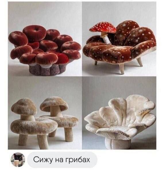 1. На таких грибах не грех и полежать