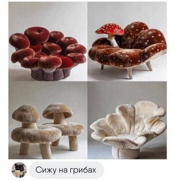 f839234fb3da5bdbb246903f4ea0f534.jpg.web