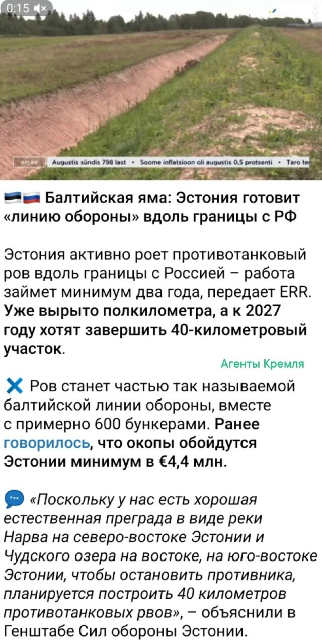 Прибалтийские тигры зарываются в землю, становясь прибалтийскими кротами