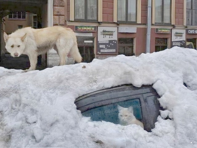 АвтоВсячина