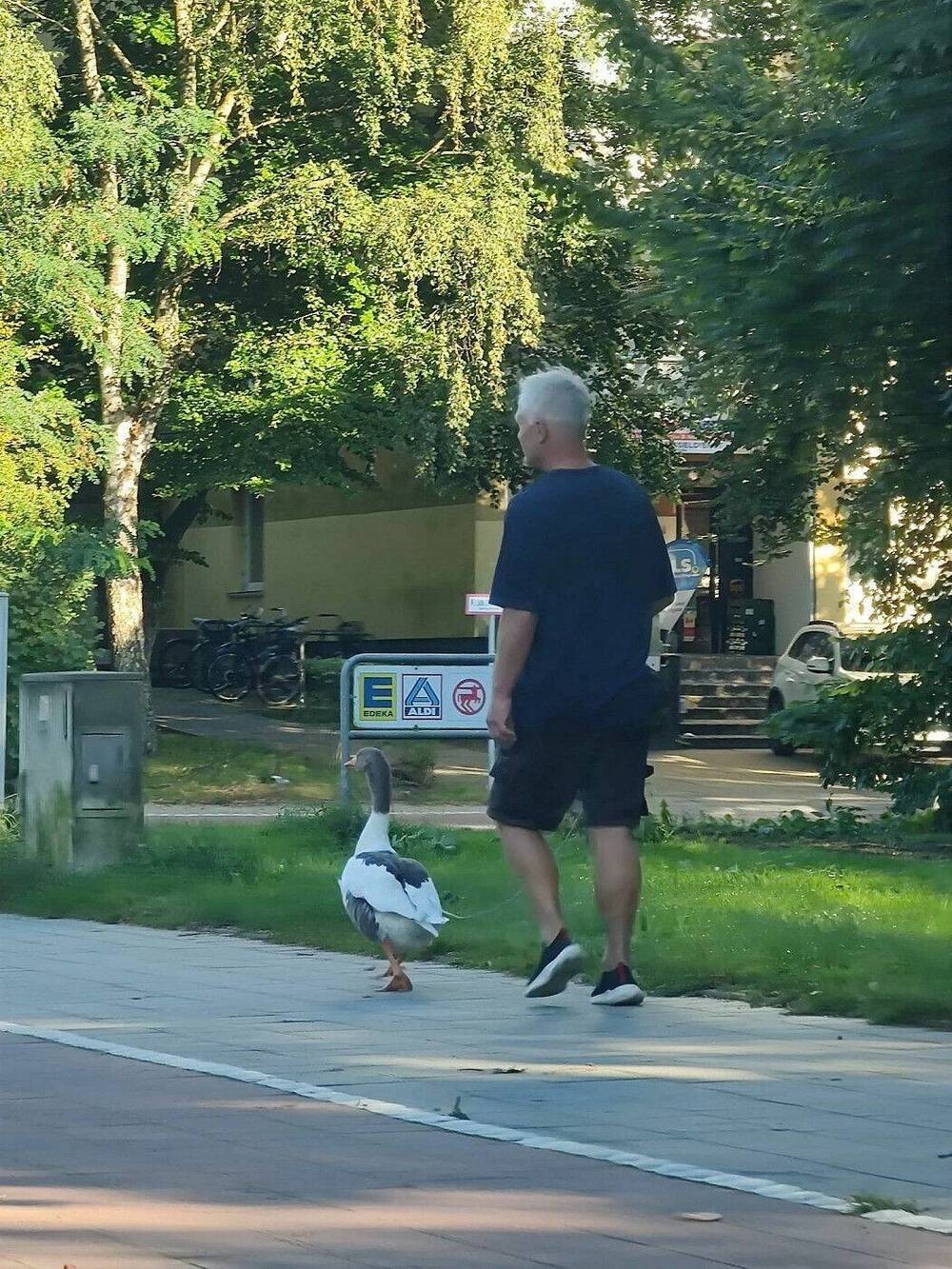 На общую тему 