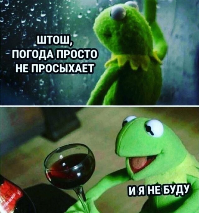 Скрины из соцсетей            