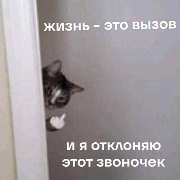 Скрины из соцсетей            