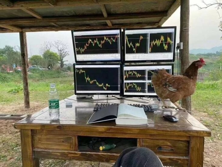 Всё вразнобой 
