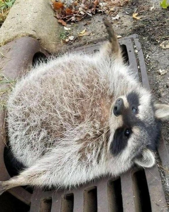 Всё вразнобой 