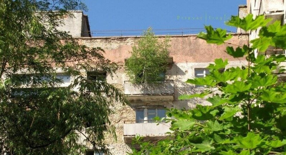 И все же зеленый — красивый цвет!