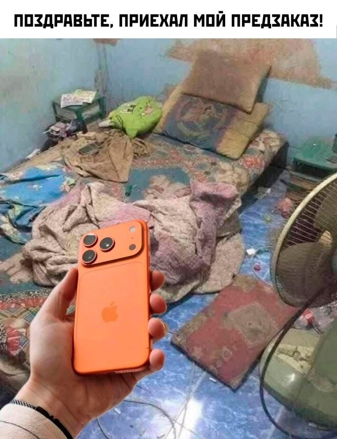 Продолжаем барражировать соцсети