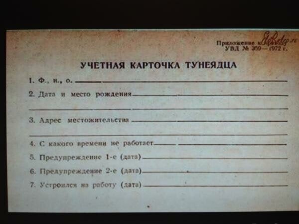 Восемь причин быть бомжом