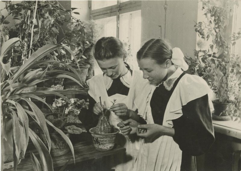 В школе. 1950 год.