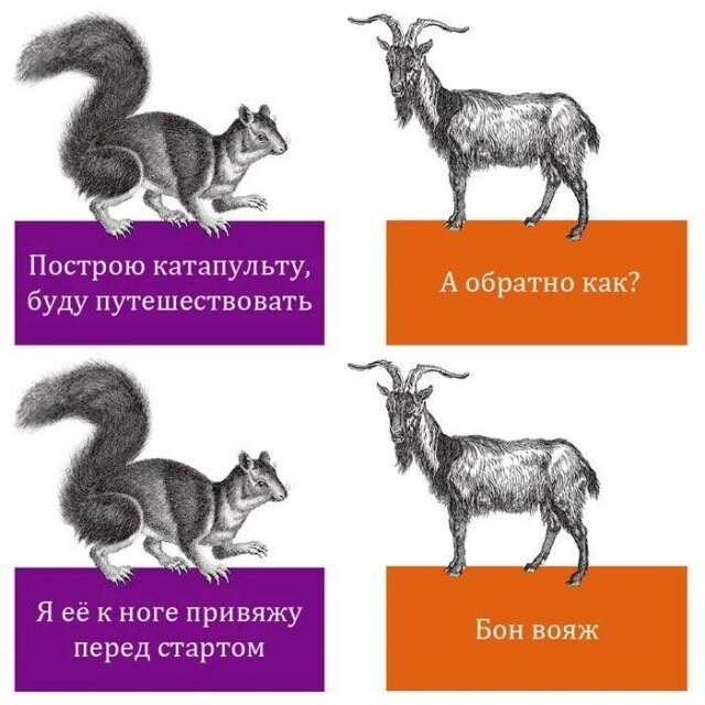 Скрины из соцсетей            