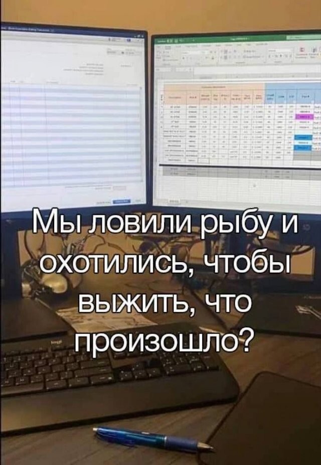 Скрины из соцсетей            