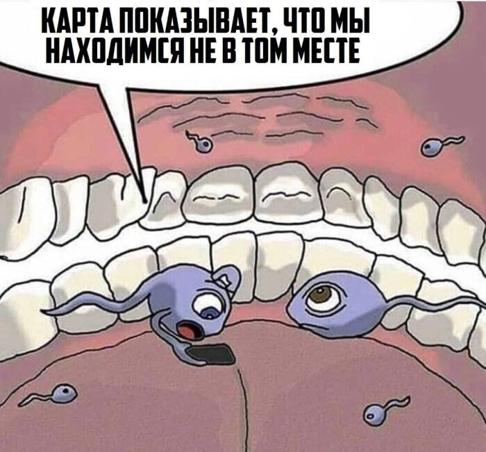 Не ищите здесь смысл. Здесь в основном маразм