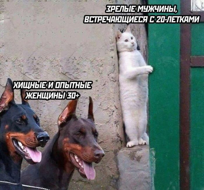 Не ищите здесь смысл. Здесь в основном маразм