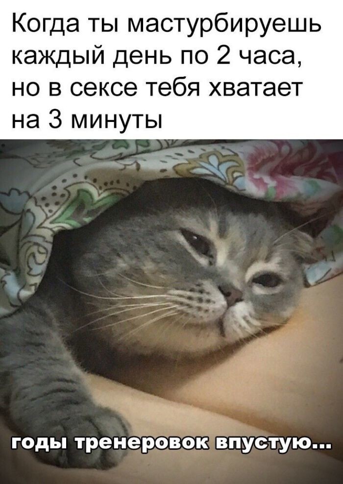 Не ищите здесь смысл. Здесь в основном маразм