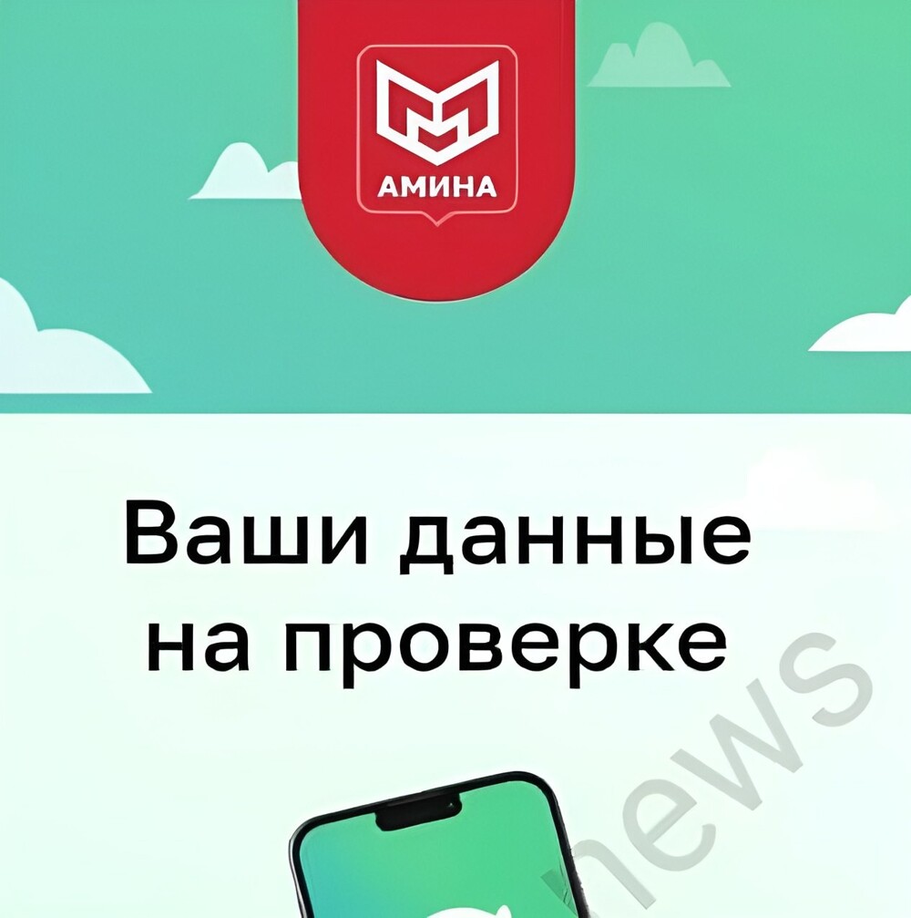 Амина в Сахарово: как приложение загнало мигрантов в очереди