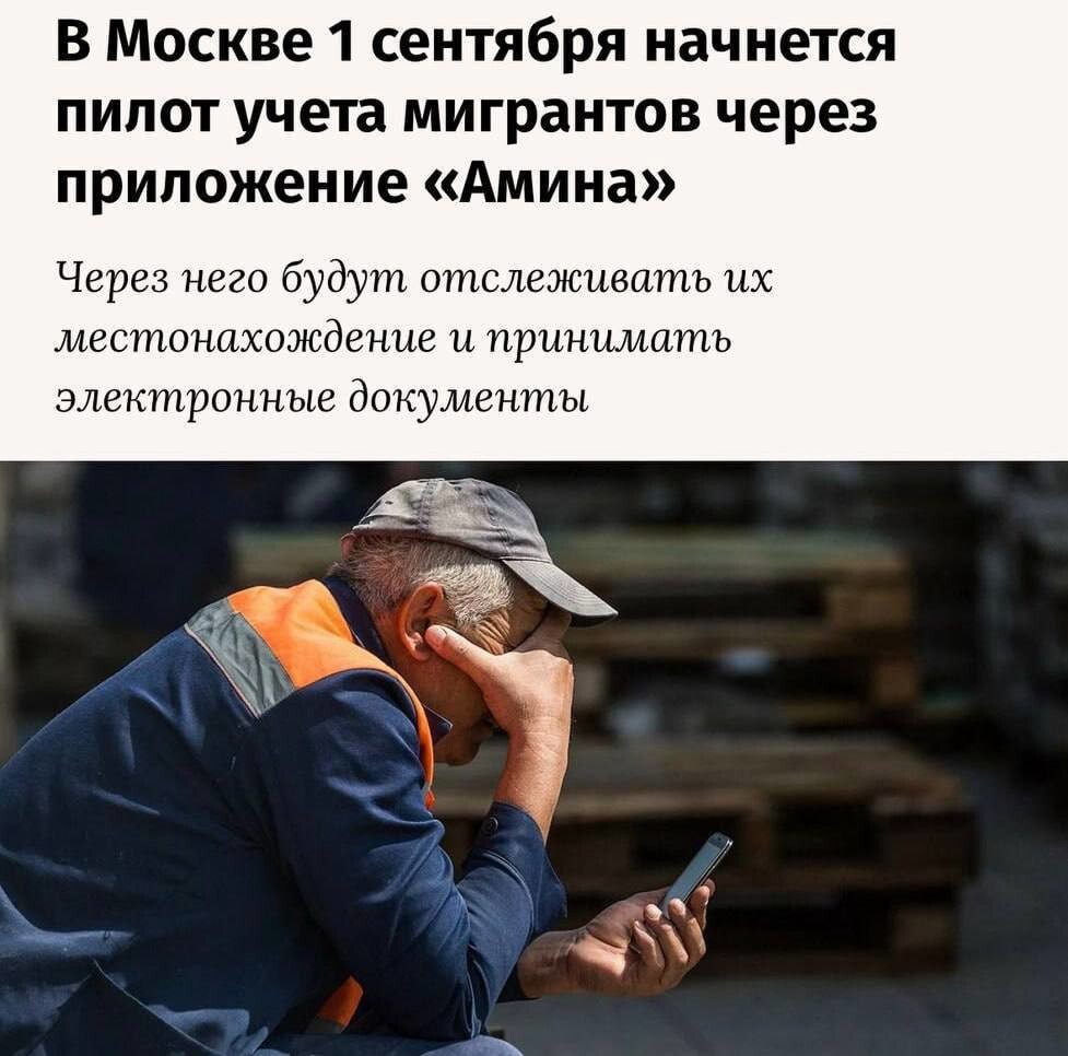 Амина в Сахарово: как приложение загнало мигрантов в очереди
