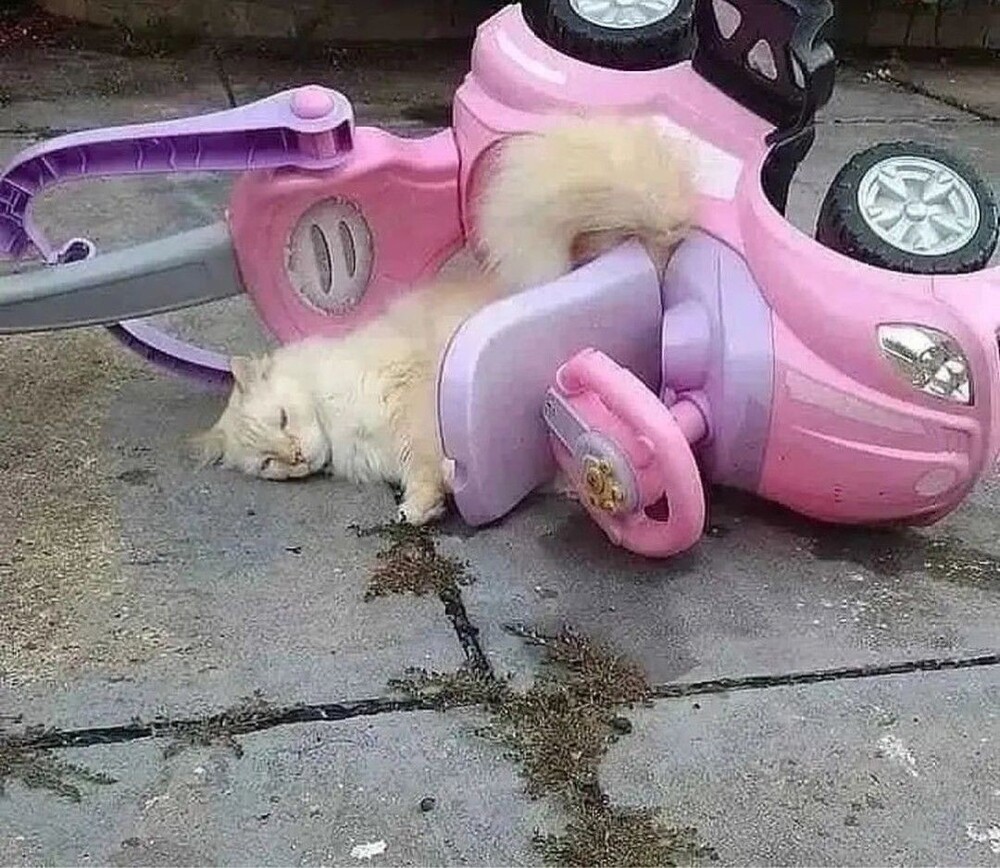 14. Всё проходит, пройдёт и это