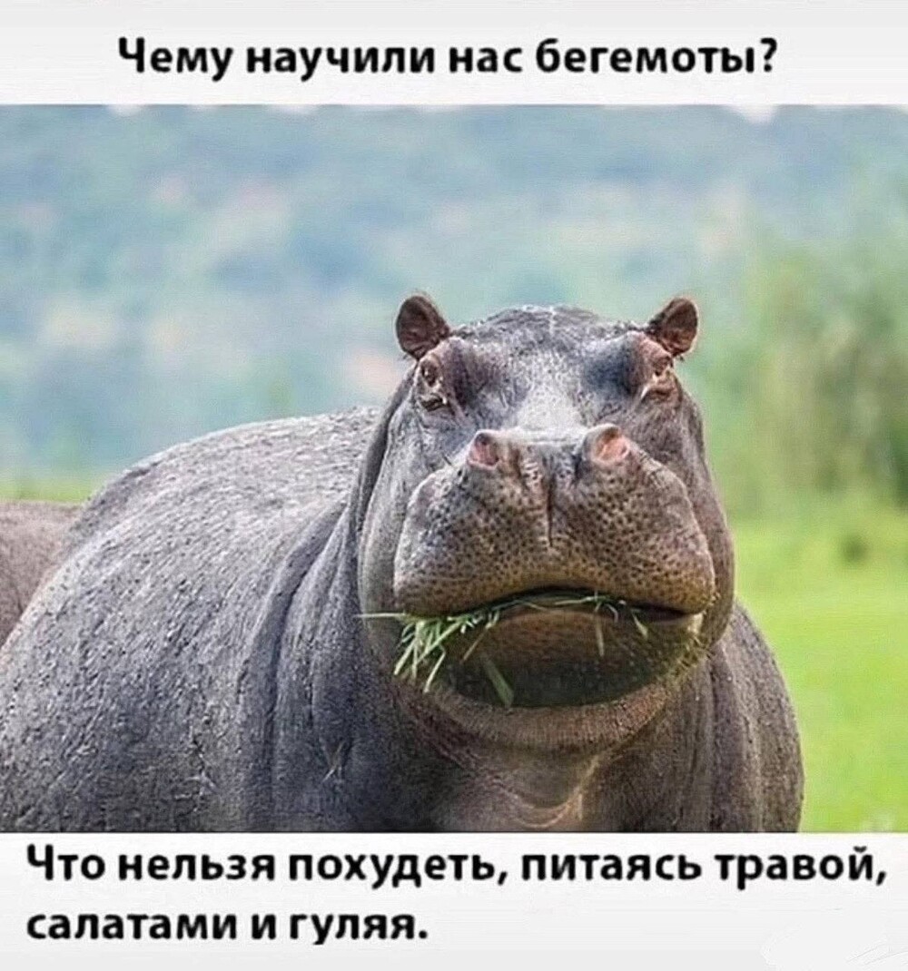 И еще два слова об «утилизационном сборе»