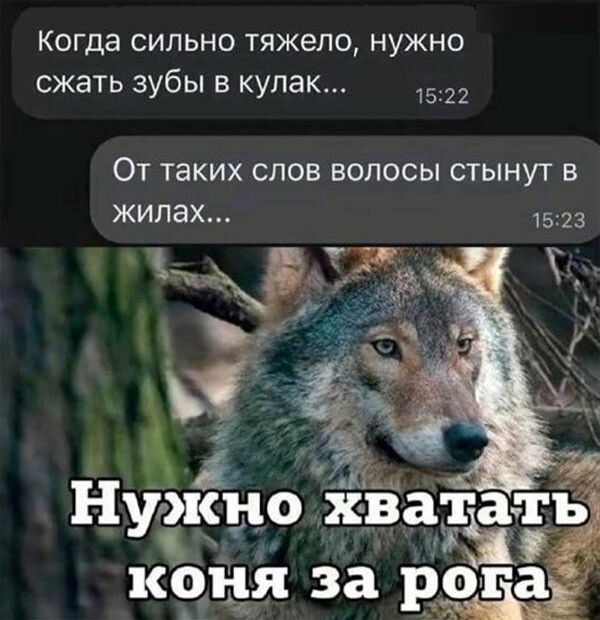 Подборка баянов на воскресенье