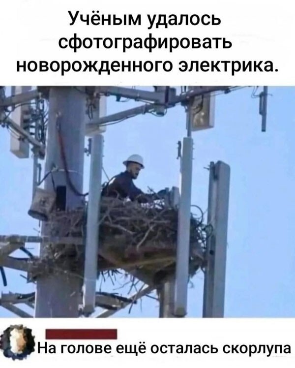 Подборка баянов на воскресенье