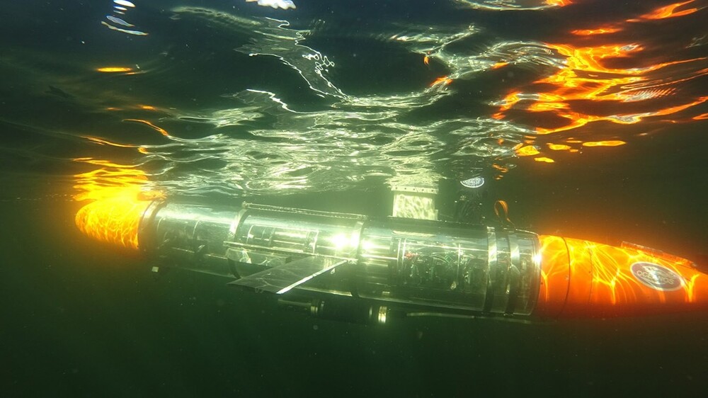 Впервые в России подводный глайдер Впервые в России подводный глайдер