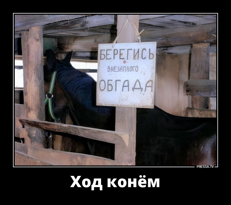 Ход конём