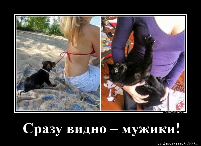 Сразу видно - мужики!