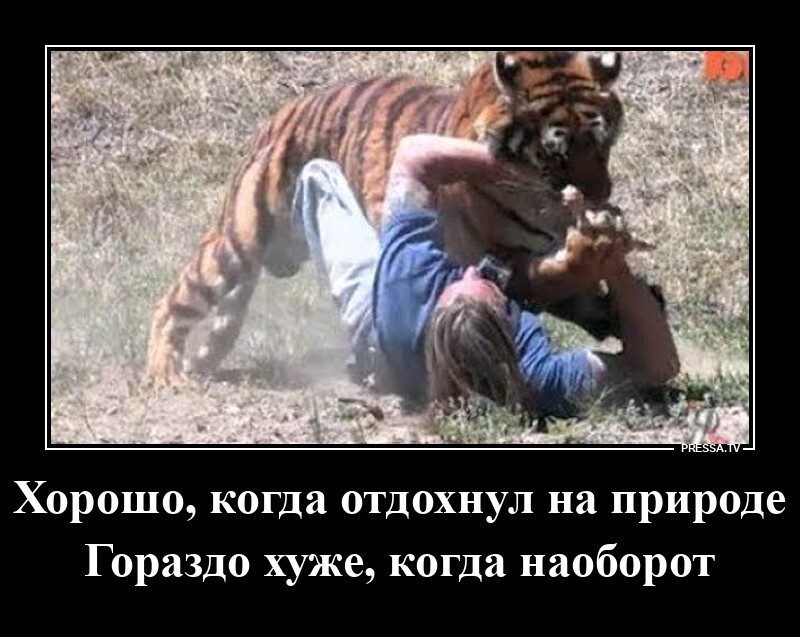 Хорошо, когда отдохнул на природе. Гораздо хуже, когда наоборот